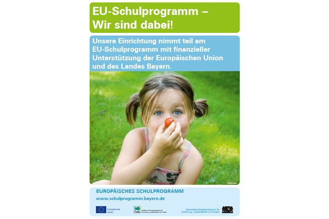 Logo EU-Schulprogramm