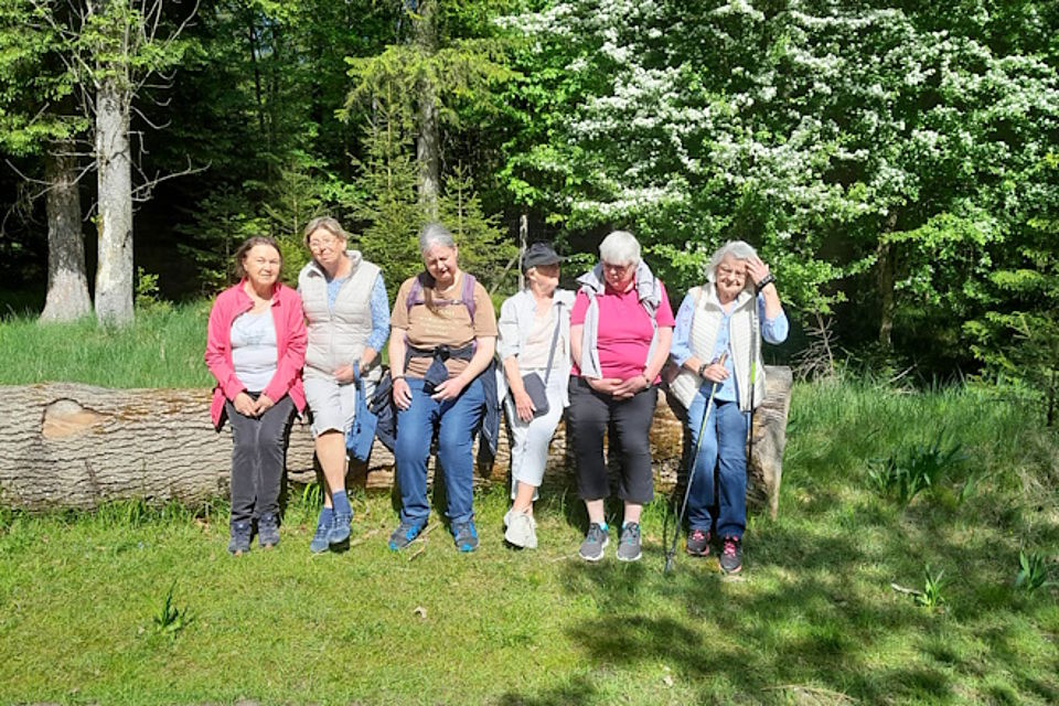 Kurze Rast auf einem Baumstamm